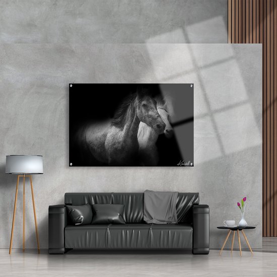 Luxe Plexiglas Schilderij Free Herd | 150x100 | Woonkamer | Slaapkamer | Kantoor | Muziek | Design | Art | Modern | ** 5MM DIK**