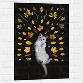 WallClassics - Muursticker - Liggende Kat omringt door Blaadjes - 60x90 cm Foto op Muursticker