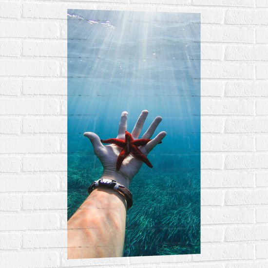 WallClassics - Muursticker - Rode Zeester Onder Water - 50x100 cm Foto op Muursticker