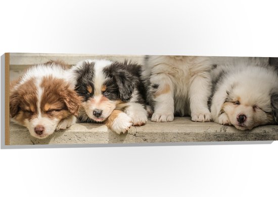 Messenlegger verzilverd hond - Tafelaccessoires