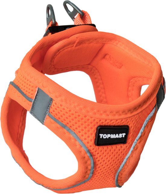 Annefit