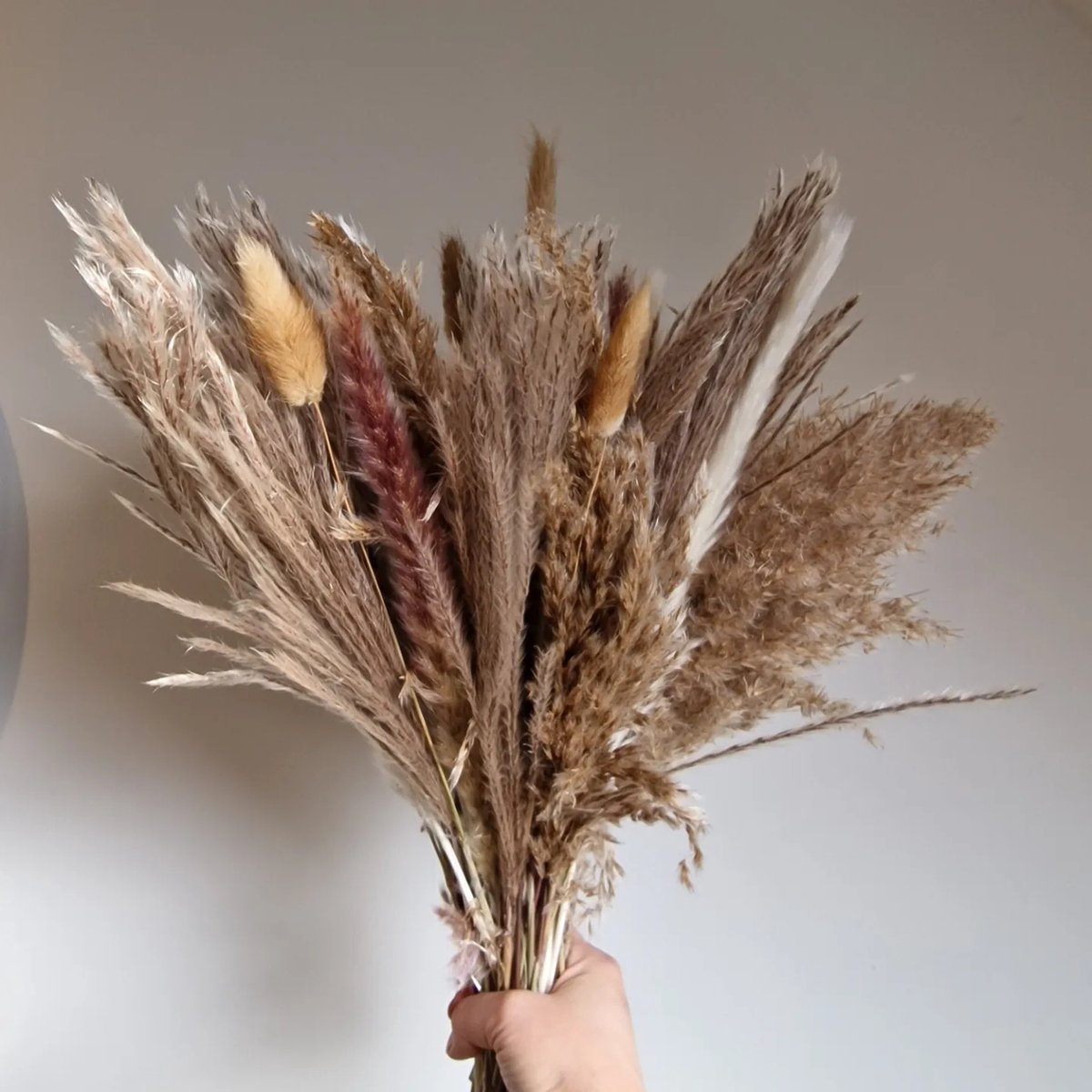 Droogbloemen Boeket - Natuurlijke tint - 74 Stelen! – Pampas Gras – 44 cm – Pampasgras – Pampas Pluimen - Droog Boeket - Beige - Natural -