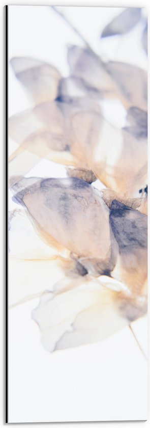 Dibond - Tekening van Paars met Oranje Bloemen tegen Witte Achtergrond - 20x60 cm Foto op Aluminium (Wanddecoratie van metaal)