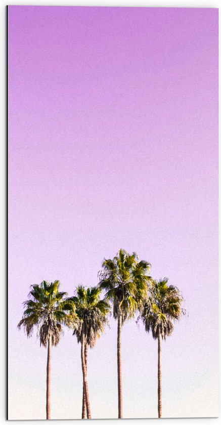 Dibond - Vier Hoge Smalle Palmbomen op Pastelroze Achtergrond - 50x100 cm Foto op Aluminium (Met Ophangsysteem)