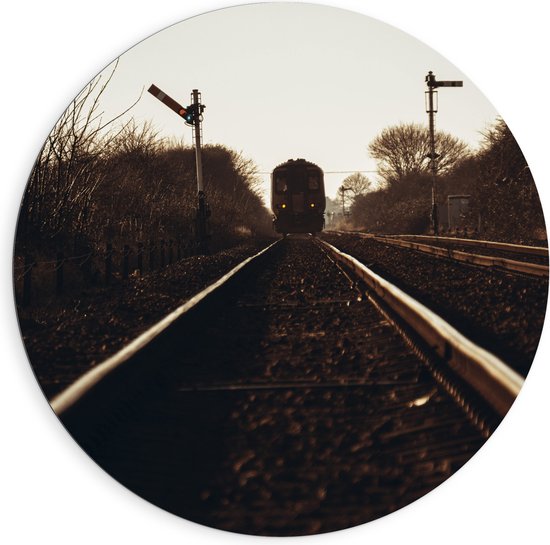 WallClassics - Dibond Muurcirkel - Aankomende Trein op Rails bij Kale Bomen - 90x90 cm Foto op Aluminium Muurcirkel (met ophangsysteem)