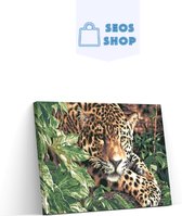 Diamond Painting Kit Guépard - Complet - Full - Diamond Paintings - 50x40 cm - SEOS Shop ®