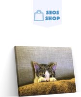 SEOS Shop ® Diamond Painting Volwassenen - Diamond Painting Kinderen - Diamond Painting Pakket Volledig - Kitten op de bank - 50x30 cm