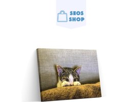 SEOS Shop ® Diamond Painting Volwassenen - Diamond Painting Kinderen - Diamond Painting Pakket Volledig - Kitten op de bank - 50x30 cm