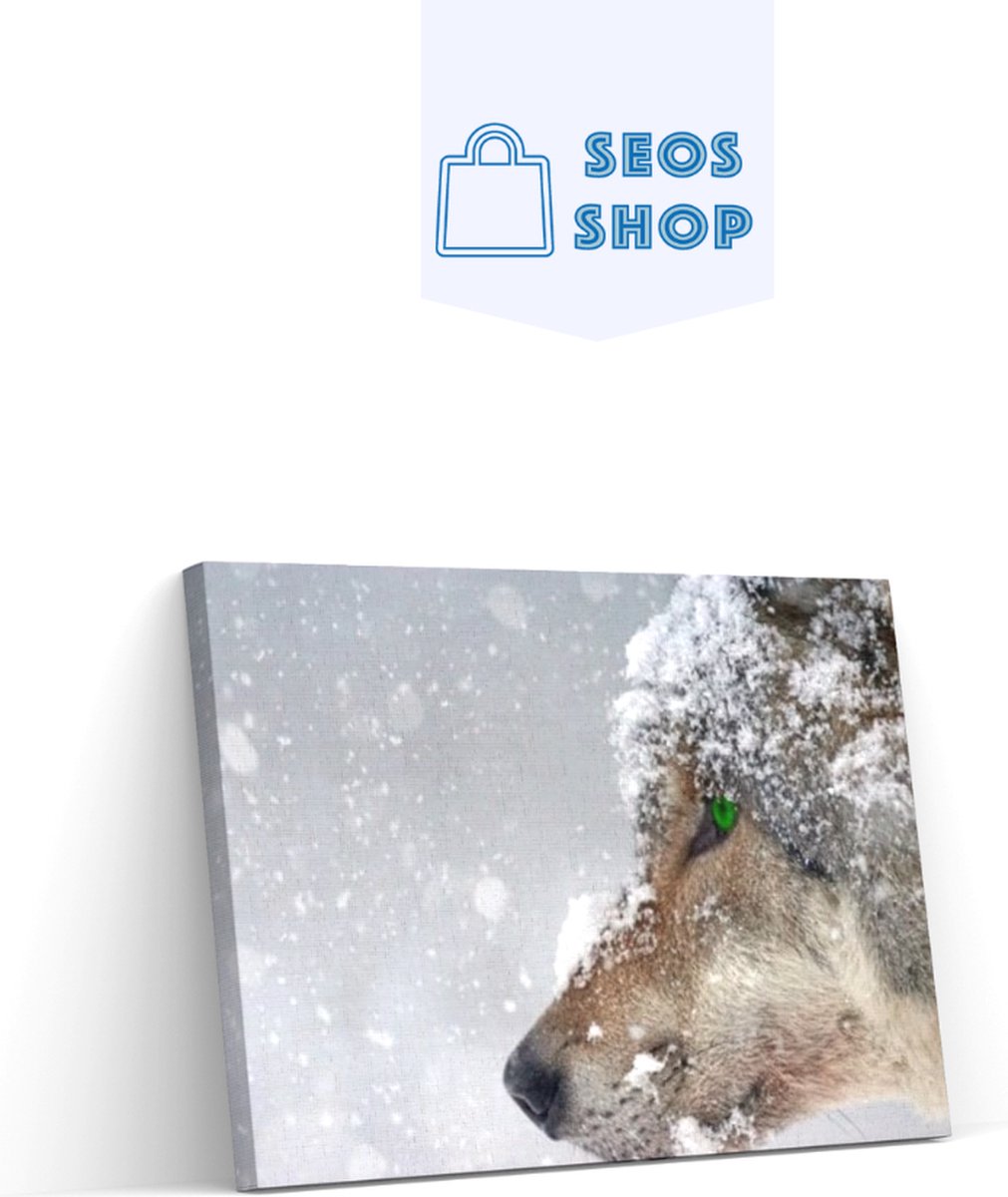 SEOS Shop ® Diamond Painting Pakket Wolf in de sneeuw - Volledig - Full - Diamond Paintings - 50x30 cm - Vierkant