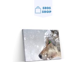 SEOS Shop ® Diamond Painting Pakket Wolf in de sneeuw - Volledig - Full - Diamond Paintings - 50x30 cm - Vierkant
