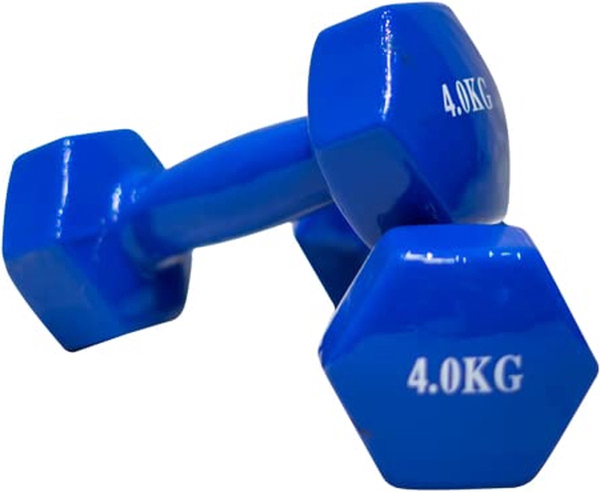 Dumbbell Blauw 4kg Fitness Krachtsport Bodybuilding Dumbell los per stuk