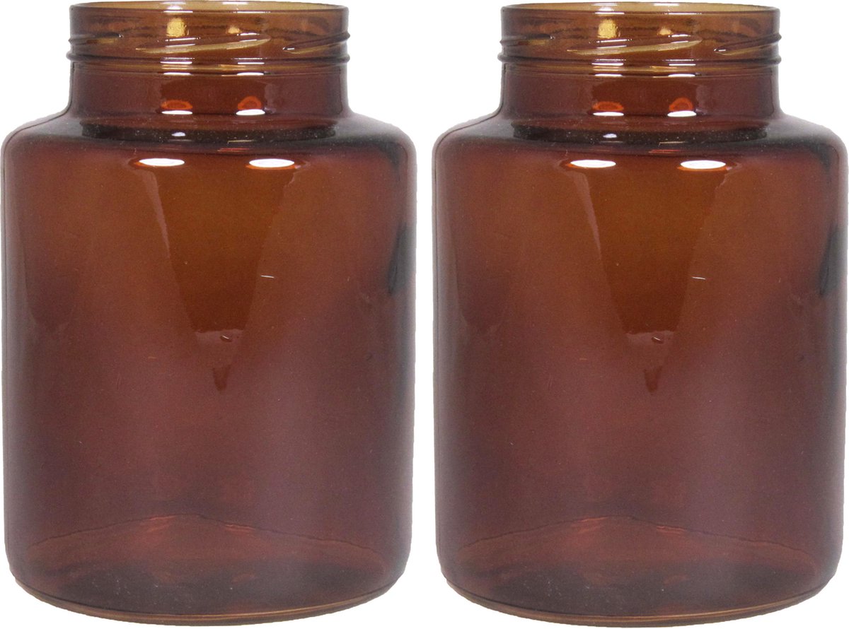 Floran bloemenvazen - 2x stuks - kastanje bruin/transparant glas - H20 x D14.5 cm