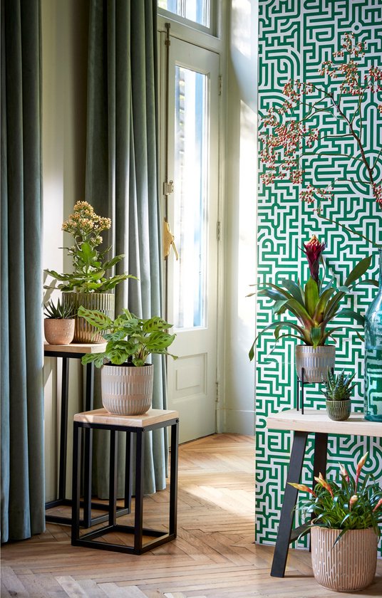 Mica Decorations - 2x - Plantenpot/bloempot - keramiek - groen ...