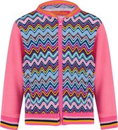 4PRESIDENT Sweater meisjes - Neon Pink/Zigzag AOP - Maat 92 - Meisjes trui