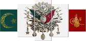 Canvas Paintings - 5 Pieces Special Design Ottoman Arma Canvas Painting (5 Parça Özel Tasarım Osmanlı Arma Kanvas Tablo)
