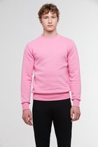 WB Comfy Men Sweatshirt Roze - S