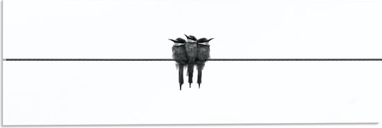Acrylglas - Drie Vogeltjes op een Rij - 60x20 cm Foto op Acrylglas (Met Ophangsysteem)
