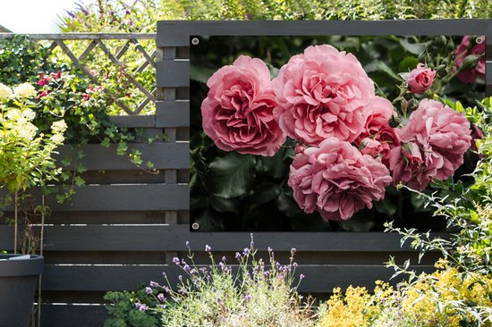 Affiche de jardin rose - Fleurs - Roses - 130x80 cm - Décoration murale extérieure - Affiche de jardin - Toile de jardin - Affiche de clôture - Peinture de jardin