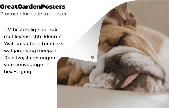 Bulldog anglais dort sur le canapé Affiche de jardin 60x40 cm - petit - Toile de jardin / Toile d'extérieur / Peintures pour l'extérieur (décoration de jardin)
