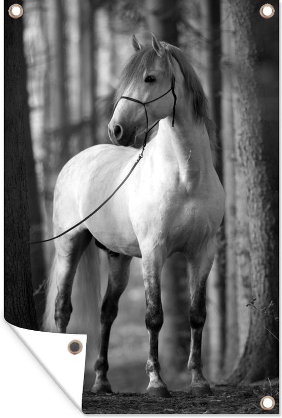 Tuindecoratie Wit Andalusisch paard tussen de bomen - zwart wit - 40x60 cm - Tuinposter - Tuindoek - Buitenposter