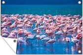 Tuinposter - Tuindoek - Tuinposters buiten - Flamingo - Water - Tropisch - Water - Roze - 120x80 cm - Tuin