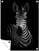 Tuinschilderij Zebra - Zwart - Wit - Dieren - 60x80 cm - Tuinposter - Tuindoek - Buitenposter