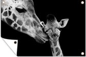 Muurdecoratie Dieren - Zwart - Wit - Giraffe - Portret - 180x120 cm - Tuinposter - Tuindoek - Buitenposter