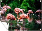 Tuin decoratie Flamingo - Tropisch - Vogel - Water - Roze - 40x30 cm - Tuindoek - Buitenposter