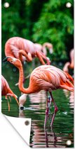 Tuinposter Flamingo - Tropisch - Vogel - Water - Roze - 40x80 cm - Wanddecoratie Buiten - Tuinposter - Tuindoek - Schuttingposter - Tuinschilderij