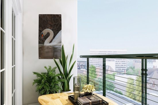 Affiche de jardin Cygne - Water - Animaux - Vogel - 30x60 cm - Toile de jardin - Poster extérieur