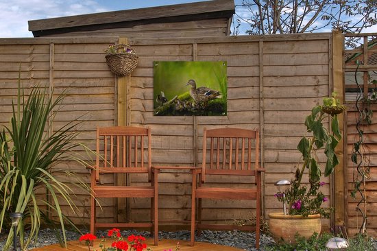 Décoration de Jardin Canard - Vogels - Water - Branche - Mousse - 40x30 cm