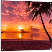 Tuinposter – Silhouet van Palmboom aan Kalm Water met Zonsondergang - 100x100 cm Foto op Tuinposter (wanddecoratie voor buiten en binnen)
