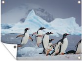 Tuinposter - Tuindoek - Tuinposters buiten - Pinguïns komen uit het water en springen op een ijsschots - 120x90 cm - Tuin