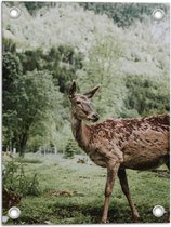 Tuinposter – Omkijkend Hert in Groen Gekleurd Landschap - 30x40 cm Foto op Tuinposter (wanddecoratie voor buiten en binnen)