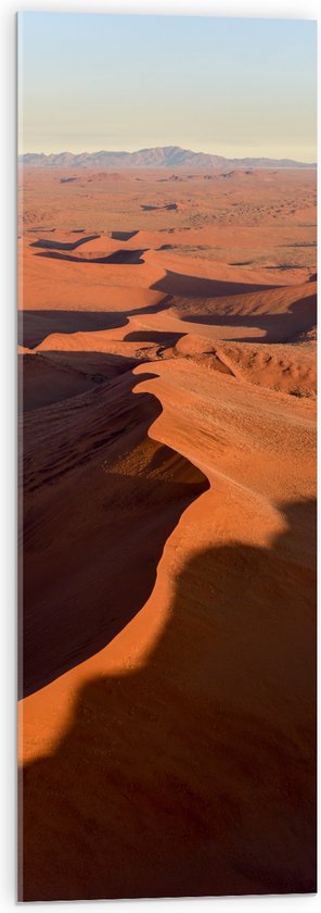 Acrylglas - Uitzicht over Groot Woestijngebied - 30x90 cm Foto op Acrylglas (Wanddecoratie op Acrylaat)