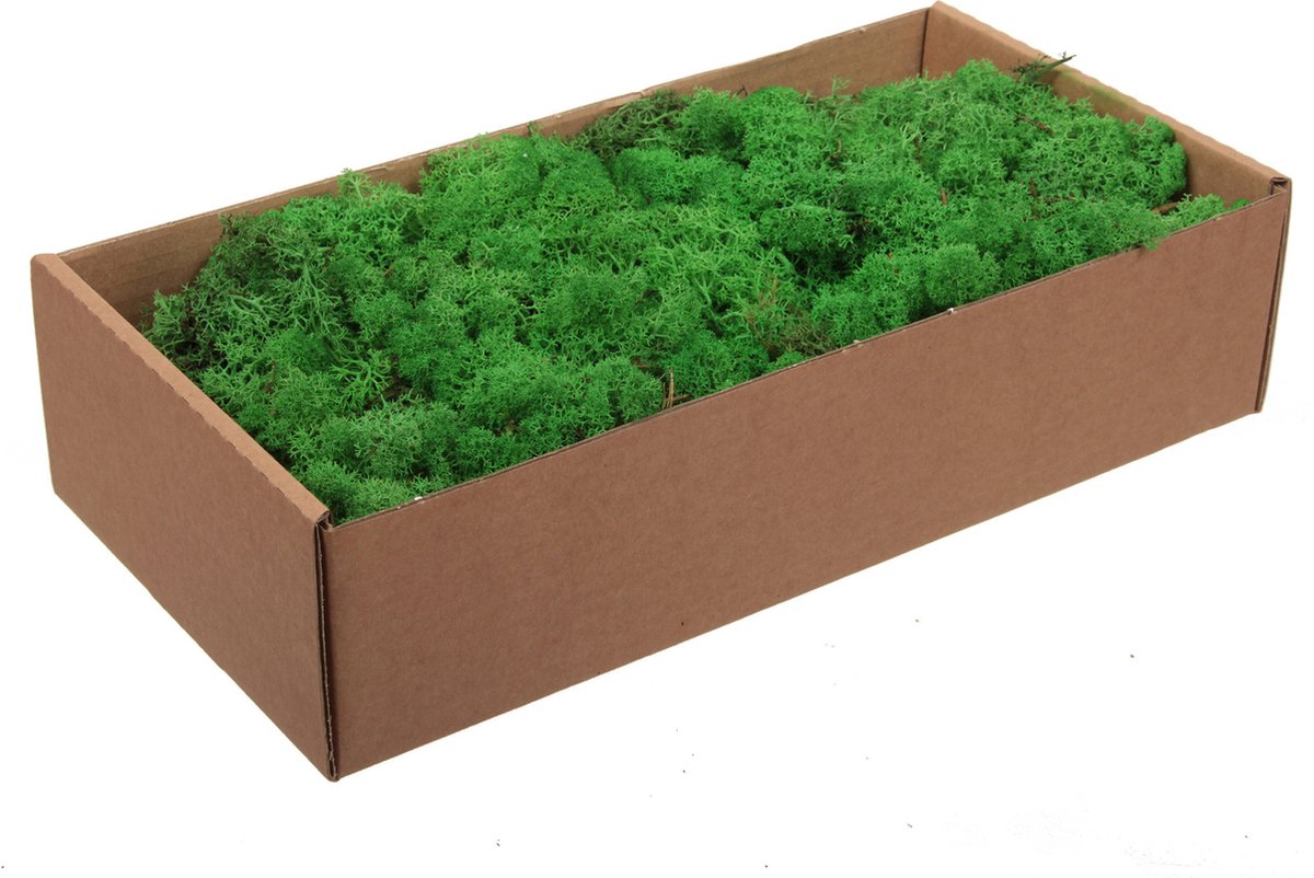 Othmar Decorations Decoratie mos - groen - naturel - 500 gram - Finlands moss - hobby materiaal