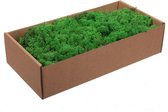 Coffret décoration/hobby moss naturel 500 grammes - Matériaux de Décoration - Matériaux de Hobby
