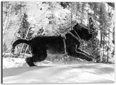 WallClassics - Dibond - Zwarte Hond Springend in de Sneeuw - 40x30 cm Foto op Aluminium (Met Ophangsysteem)