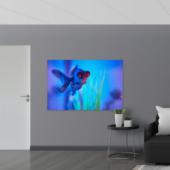 WallClassics - Poster Glossy - Poisson nageant dans Water - 150x100 cm Photo sur Papier Poster avec Finition Brillante