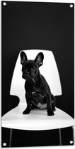WallClassics - Tuinposter – Zwarte zittende Hond op Witte Stoel - 50x100 cm Foto op Tuinposter (wanddecoratie voor buiten en binnen)