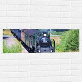 WallClassics - Muursticker - Trein tussen Struiken - 90x30 cm Foto op Muursticker