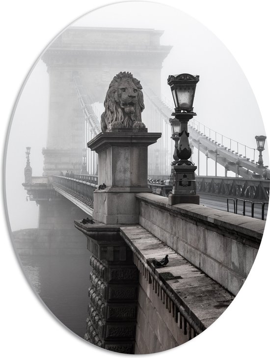 WallClassics - PVC Schuimplaat Ovaal - Kettingbrug over het Water - Boedapest - 42x56 cm Foto op Ovaal (Met Ophangsysteem)
