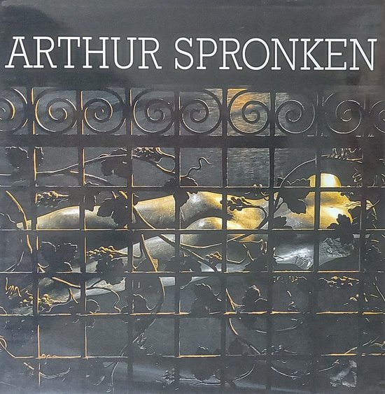 9789090093475 - Arthur Spronken
