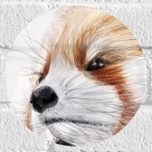 WallClassics - Muursticker Cirkel - Getekende Kop van Rode Panda - 20x20 cm Foto op Muursticker