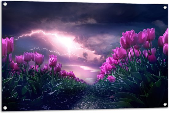 Foto: Wallclassics tuinposter donder en bliksem boven paars tulpenveld 105x70 cm foto op tuinposter wanddecoratie voor buiten en binnen 