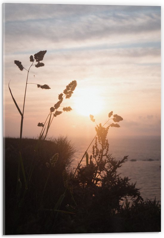 WallClassics - Acrylglas - Zon achter Planten op Hoge Berg met Uitzicht op Zee - 40x60 cm Foto op Acrylglas (Met Ophangsysteem)