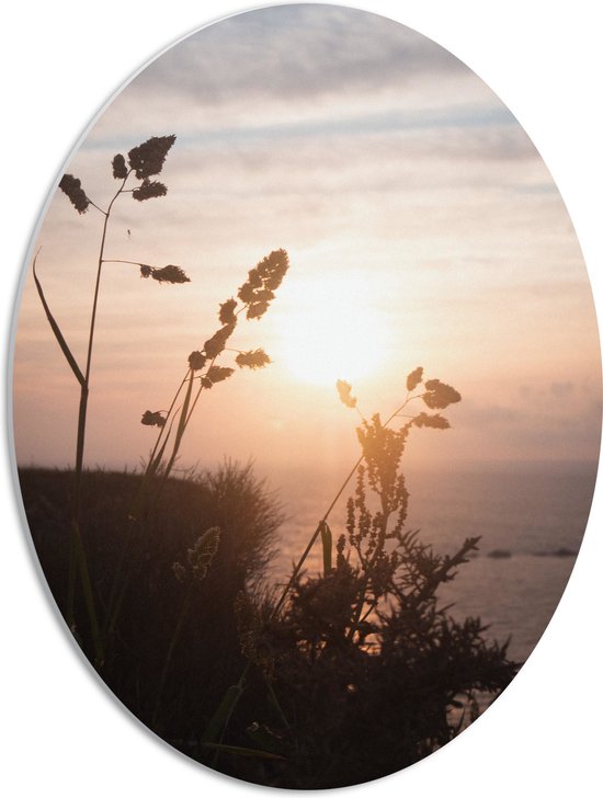 WallClassics - PVC Schuimplaat Ovaal - Zon achter Planten op Hoge Berg met Uitzicht op Zee - 42x56 cm Foto op Ovaal (Met Ophangsysteem)