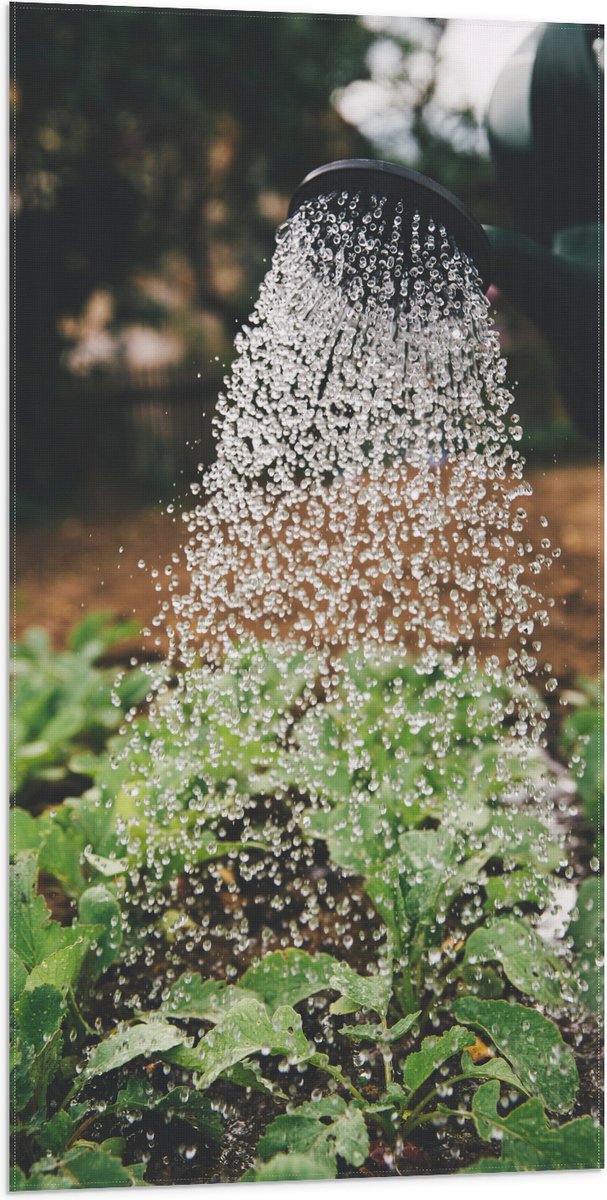 Vlag - Planten Water Geven met Gieter - 50x100 cm Foto op Polyester Vlag