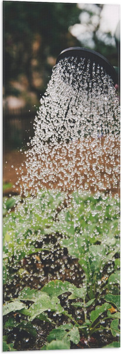Vlag - Planten Water Geven met Gieter - 30x90 cm Foto op Polyester Vlag