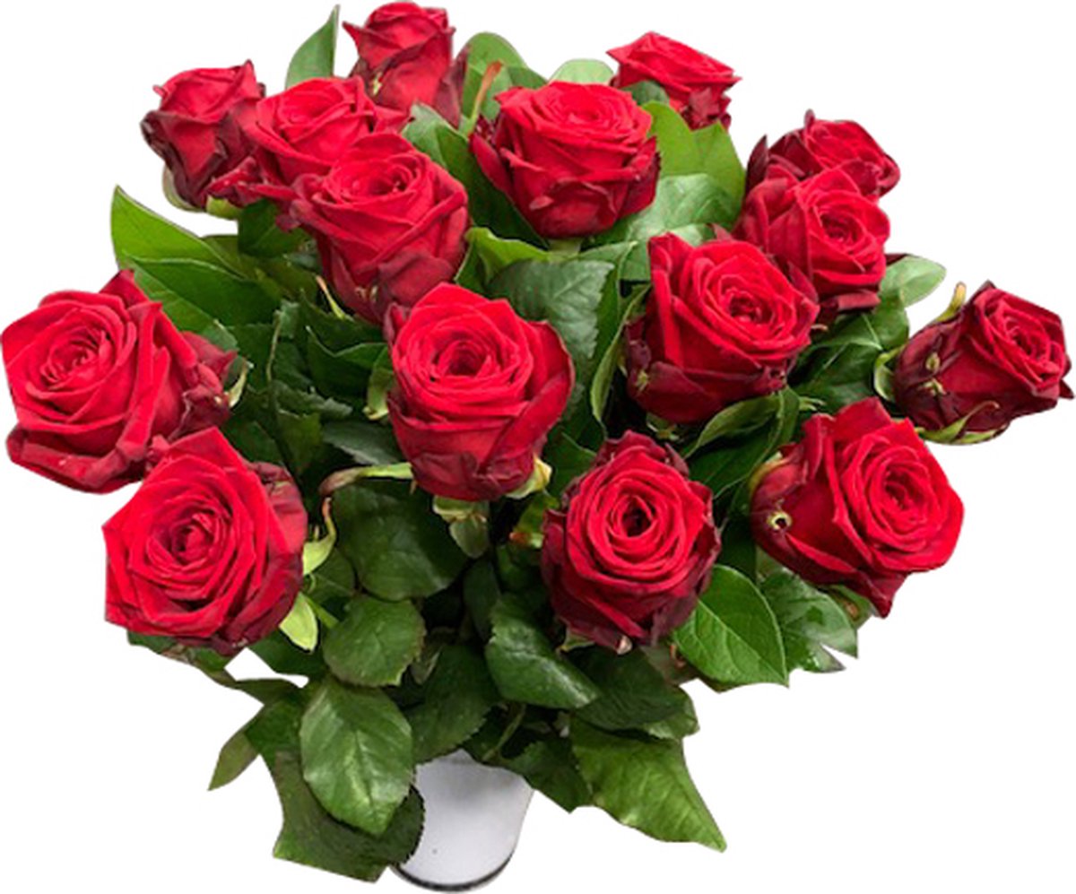 uitsterven Vooruitzien vergroting 15 rode rozen boeket | bol.com